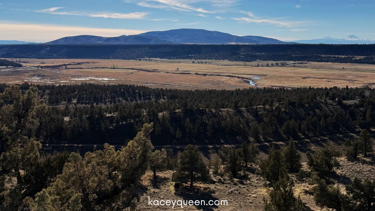 following God's plan